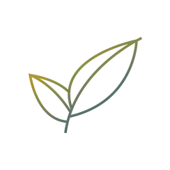 i-Green-Tech-no-border